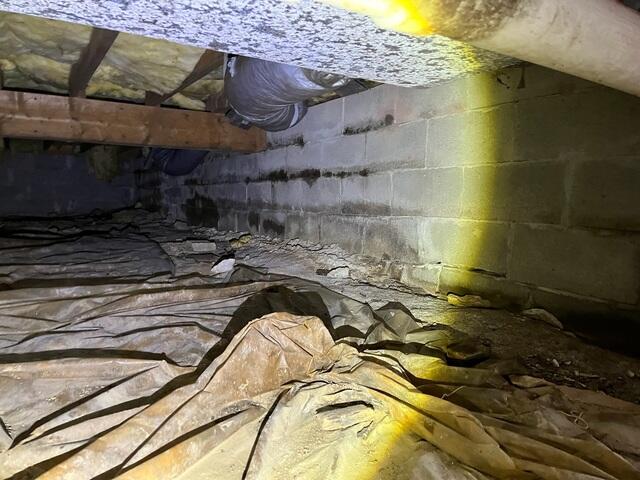 Moldy, Dirty Walls