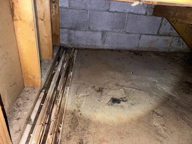 Moisture and Mold Growth