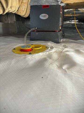 Sump System and Dehumidifier