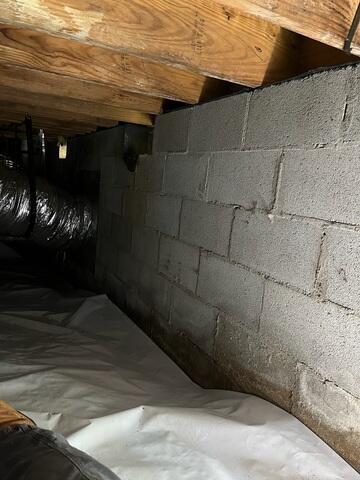 Inspecting the Crawl Space