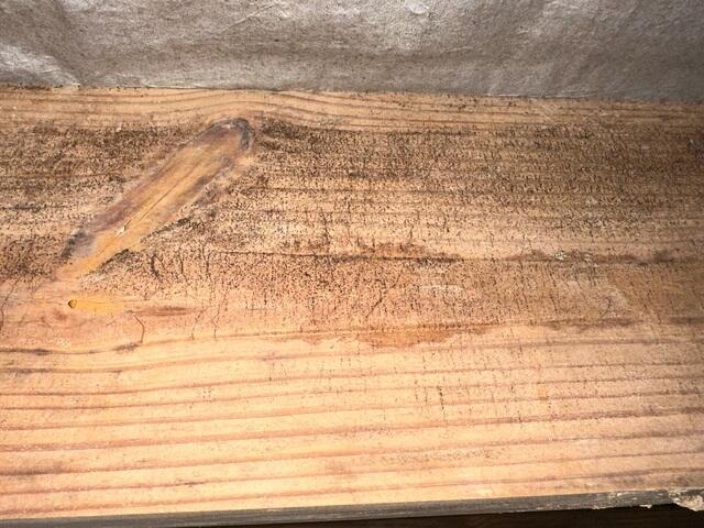 Mold