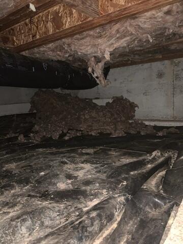 Insulation Mess