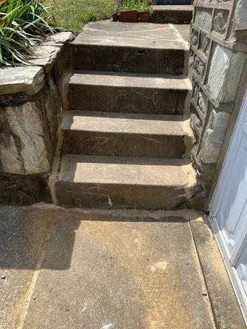 Repaired Concrete Steps