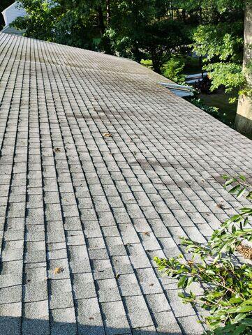 Roof Before cleaning