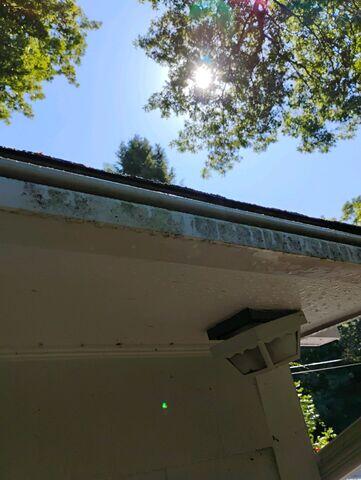Soffits and Gutters before cleaning