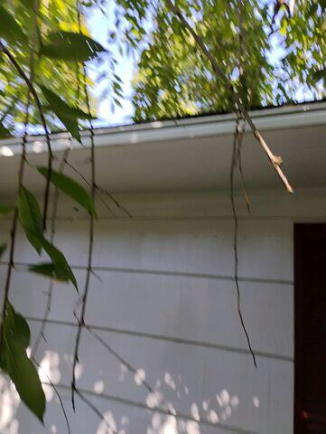 Soffits and Gutters