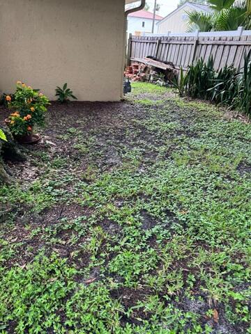 Backyard Flood Damage