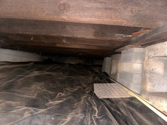 Crawl Space Before
