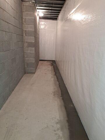 CleanSpace