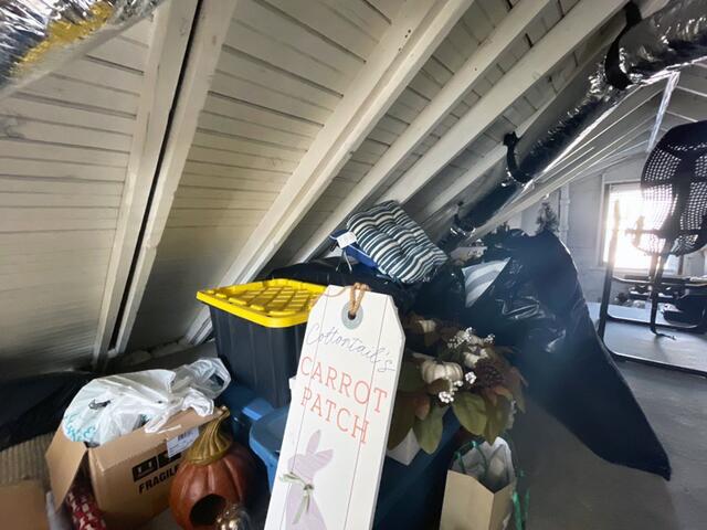 Attic Side Before