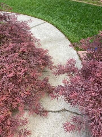 Unaddressed Concrete Cracks
