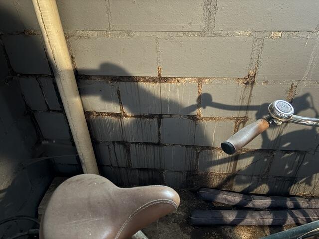 Leaky Basement Walls