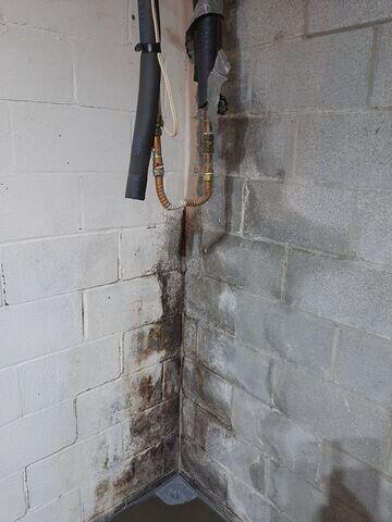 Basement Water Damage
