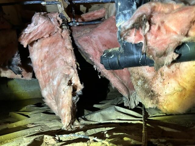 Crawl Space Humidity