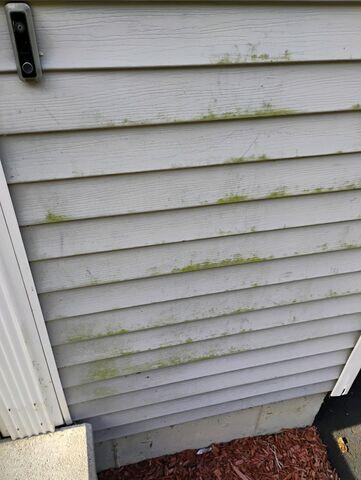 Vinyl Siding before