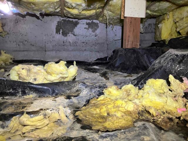 Soggy Fiberglass