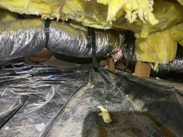 Dusty Old Vapor Barrier