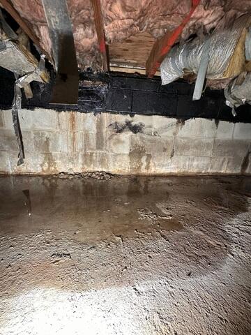 Crawl Space Before Waterproofing