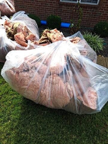 Insulation Removal