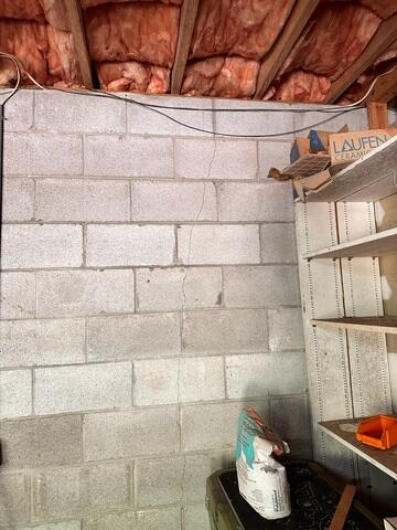 Problematic Basement Wall