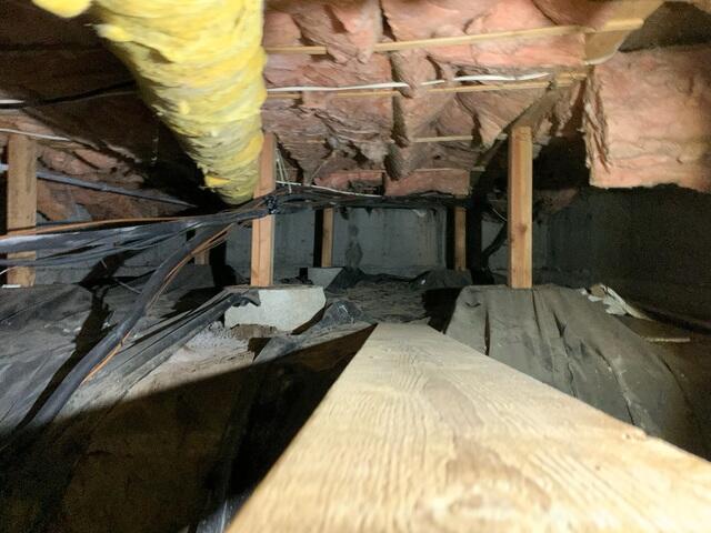 Nasty Crawl Space