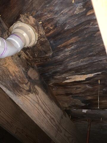 Water Damaged Subfloor