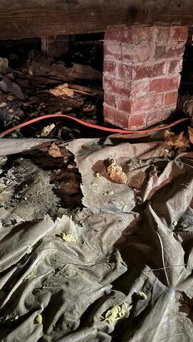 9/3 Jackson Encap Before - 6