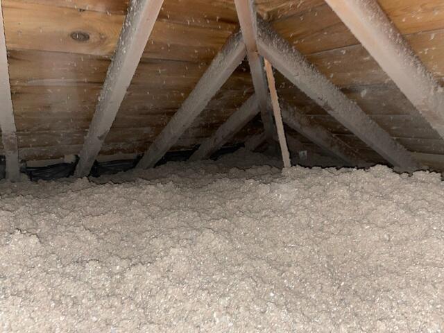 Blanket of Cellulose