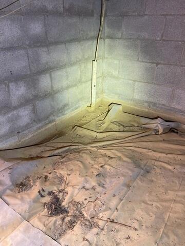 Crawl Space Before Project