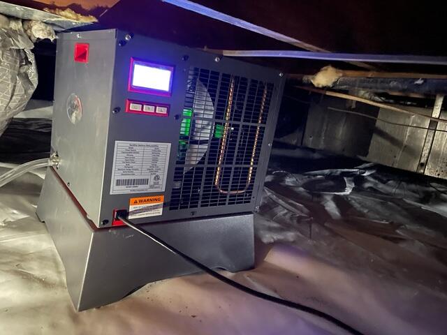 Sedona in Crawl Space