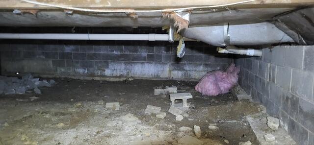 Dirty, Wet Crawl Space