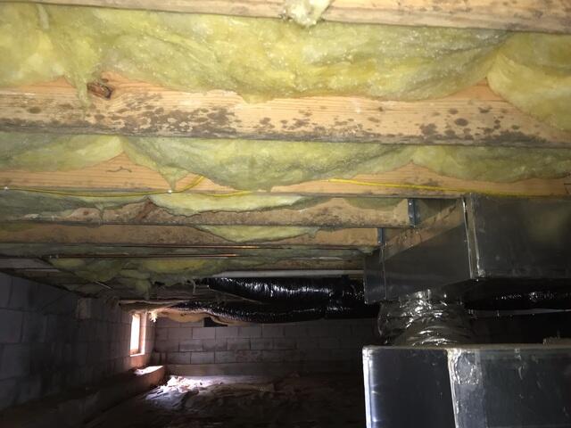 Moldy Crawl Space
