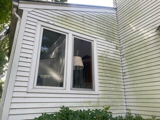 Aluminum siding with Algae and Mildew
