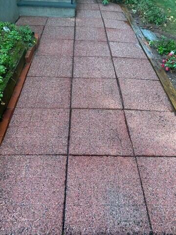 Paver Walkway