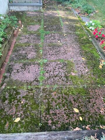 Paver Walkway before