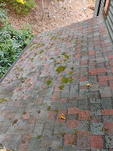 Asphalt Shingles Before