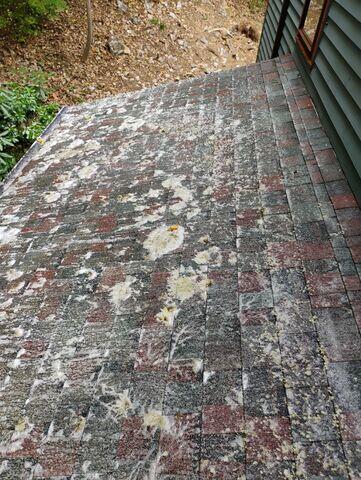 Asphalt Shingles after treatment