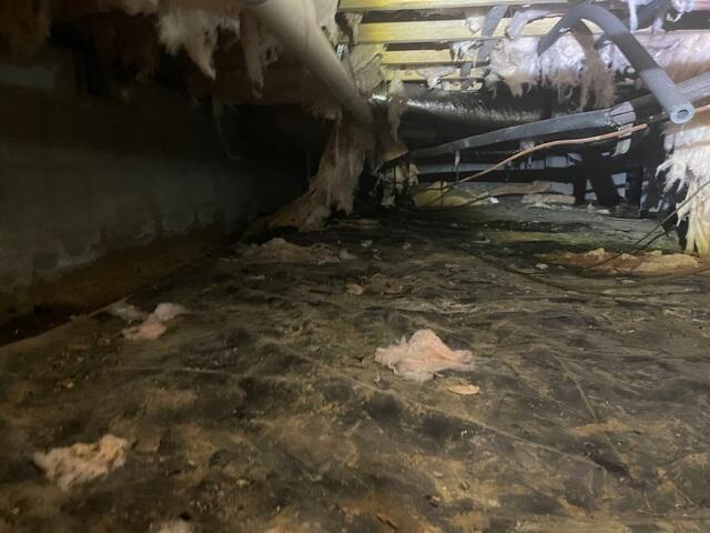 Before Project Begins