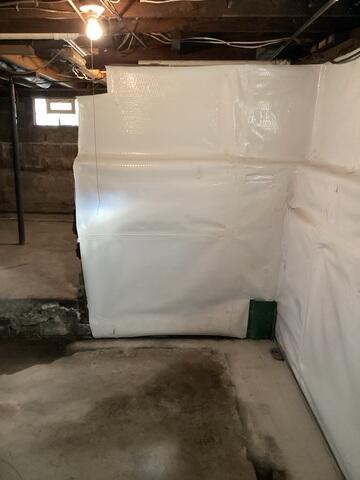 CleanSpace