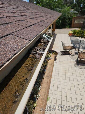 Existing Gutters with debris.