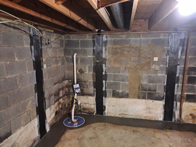 SuperSump Premier Pump System