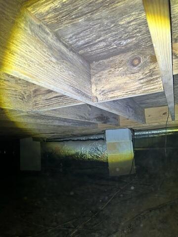 Wood Rot