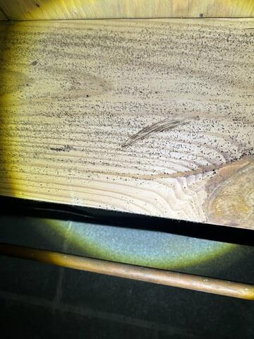 Mold