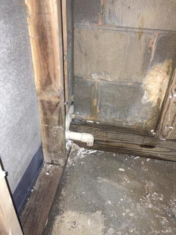 Mold Abatement Polymer Solutions 1