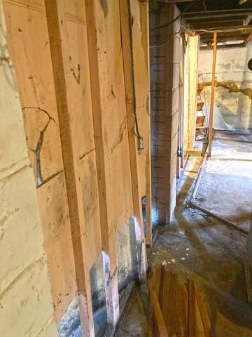 How to Prevent Mold From Returning