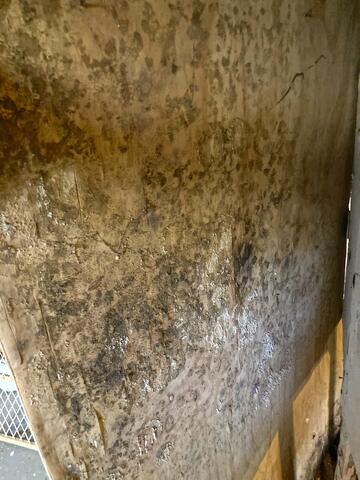 Contaminated with Mold