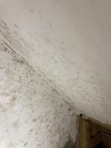 Removing the Mold