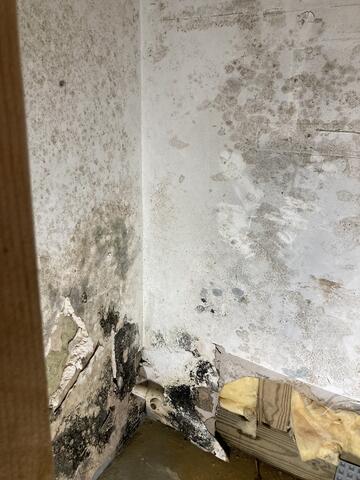 Boiler Room Full of Mold