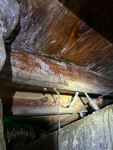 Wet Wood