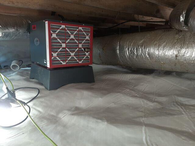 SaniDry Sedona Dehumidifier